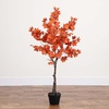 image:imageNearly Natural 5FT Rustic Autumn Artificial Maple Tree Faux Fall Dcor for Home Decorations for Fall Autumn Thanksgiving and Halloween with Black Nursery Pot