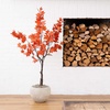image:imageNearly Natural 5FT Rustic Autumn Artificial Maple Tree Faux Fall Dcor for Home Decorations for Fall Autumn Thanksgiving and Halloween with Black Nursery Pot