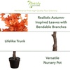 image:imageNearly Natural 5FT Rustic Autumn Artificial Maple Tree Faux Fall Dcor for Home Decorations for Fall Autumn Thanksgiving and Halloween with Black Nursery Pot