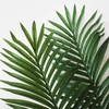 image:imageNearly Natural 5FT Tall Artificial Paradise Palm Plant Fake Palm Tree with 12 Trunks and Realistic Palm Leaves Faux palm Tree for Indoor Home Dcor with Black Nursery PlanterPalm