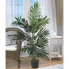 image:imageNearly Natural 5FT Tall Artificial Paradise Palm Plant Fake Palm Tree with 12 Trunks and Realistic Palm Leaves Faux palm Tree for Indoor Home Dcor with Black Nursery PlanterPalm
