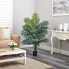 image:imageNearly Natural 5FT Tall Artificial Paradise Palm Plant Fake Palm Tree with 12 Trunks and Realistic Palm Leaves Faux palm Tree for Indoor Home Dcor with Black Nursery PlanterPalm