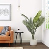 image:imageNearly Natural 5FT Tall Artificial Paradise Palm Plant Fake Palm Tree with 12 Trunks and Realistic Palm Leaves Faux palm Tree for Indoor Home Dcor with Black Nursery PlanterPalm