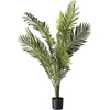 image:imageNearly Natural 5FT Tall Artificial Paradise Palm Plant Fake Palm Tree with 12 Trunks and Realistic Palm Leaves Faux palm Tree for Indoor Home Dcor with Black Nursery PlanterPalm