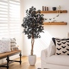 image:imageNearly Natural 5ft Artificial Halloween Black Ficus Tree with Natural Trunk  Indoor Decor for Spooky Gatherings