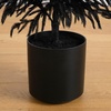 image:imageNearly Natural 5ft Artificial Halloween Black Norfolk Pine Christmas Tree  Real Touch Natural Look  Indoor Decor