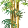 image:imageNearly Natural 5ft Bambusa Bamboo Silk Tree
