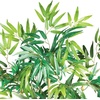 image:imageNearly Natural 5ft Bambusa Bamboo Silk Tree