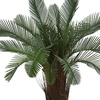image:imageNearly Natural 5ft Cycas Tree UV Resistant IndoorOutdoor Green