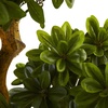 image:imageNearly Natural 5ft Pittosporum UV Resistant IndoorOutdoor