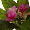 image:imageNearly Natural 5ft Plumeria Tree UV Resistant IndoorOutdoor