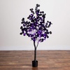image:imageNearly Natural 5ft PreLit Halloween Black Eucalyptus Tree with Orange amp Purple LED Lights