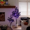 image:imageNearly Natural 5ft PreLit Halloween Black Eucalyptus Tree with Orange amp Purple LED Lights
