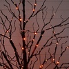 image:imageNearly Natural 5ft PreLit Halloween Black Twig Tree with 240 Orange amp Purple LED Lights