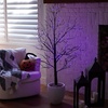 image:imageNearly Natural 5ft PreLit Halloween Black Twig Tree with 240 Orange amp Purple LED Lights