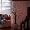 image:imageNearly Natural 5ft PreLit Halloween Black Twig Tree with 240 Orange amp Purple LED Lights