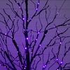 image:imageNearly Natural 5ft PreLit Halloween Black Twig Tree with 240 Orange amp Purple LED Lights