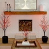 image:imageNearly Natural 5ft PreLit Halloween Deluxe Black Twig Artificial Fall Tree with 102 Orange and Purple LED Lights
