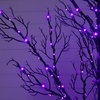 image:imageNearly Natural 5ft PreLit Halloween Twig Artificial Fall Tree with 240 Orange amp Purple LED Lights
