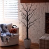 image:imageNearly Natural 5ft PreLit Halloween Twig Tree with 360 Orange amp Purple LED Lights