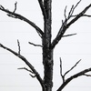 image:imageNearly Natural 5ft PreLit Halloween Twig Tree with 360 Orange amp Purple LED Lights