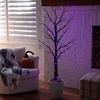 image:imageNearly Natural 5ft PreLit Halloween Twig Tree with 360 Orange amp Purple LED Lights