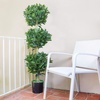 image:imageNearly Natural 5ft Triple Bay Leaf Topiary UV Resistant IndoorOutdoor