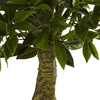 image:imageNearly Natural 5ft Triple Bay Leaf Topiary UV Resistant IndoorOutdoor