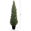 image:imageNearly Natural 5ft UV Resistant Artificial Boxwood Topiary Tree  Lifelike Greenery for Indoor and Outdoor Decor Includes Nursery Planter Perfect for Home Office or Outdoor Covered Patio Spaces