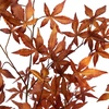 image:imageNearly Natural 6 ft Artificial Autumn Japanese Maple Fall Tree Floor Plant