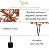 image:imageNearly Natural 6 ft Artificial Autumn Japanese Maple Fall Tree Floor Plant
