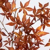 image:imageNearly Natural 6 ft Artificial Autumn Japanese Maple Fall Tree Floor Plant