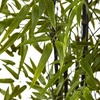 image:imageNearly Natural 6 ft Artificial Black Bamboo Tree UVResistant Floor Plant