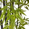 image:imageNearly Natural 6 ft Artificial Black Bamboo Tree UVResistant Floor Plant