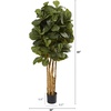 image:imageNearly Natural 6 ft Artificial Fiddle Leaf Fig Tree with Nursery Pot5ft