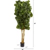 image:imageNearly Natural 6 ft Artificial Fiddle Leaf Fig Tree with Nursery Pot7ft