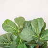 image:imageNearly Natural 6 ft Artificial Fiddle Leaf Fig Tree with Nursery Pot7ft