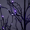 image:imageNearly Natural 6 ft PreLit Halloween Black Twig Artificial Fall Tree