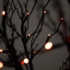 image:imageNearly Natural 6 ft PreLit Halloween Black Twig Artificial Fall Tree