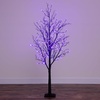 image:imageNearly Natural 6 ft PreLit Halloween Black Twig Artificial Fall Tree