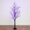 image:imageNearly Natural 6 ft PreLit Halloween Black Twig Artificial Fall Tree