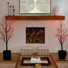 image:imageNearly Natural 6 ft PreLit Halloween Black Twig Artificial Fall Tree