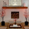 image:imageNearly Natural 6 ft PreLit Halloween Black Twig Artificial Fall Tree