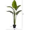 image:imageNearly Natural 60in Travelers Palm Tree UV Resistant IndoorOutdoor