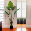 image:imageNearly Natural 60in Travelers Palm Tree UV Resistant IndoorOutdoor