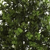 image:imageNearly Natural 6112S2 Bush Set f 2 IndoorOutdoor 2 PieceGreen