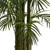 image:imageNearly Natural 65 ft Artificial Areca Palm UVResistant Tree with Pot