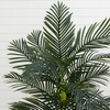 image:imageNearly Natural 65 ft Artificial Golden Cane Palm Tree with Nursery Pot6ft 6in