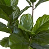 image:imageNearly Natural 65 in Artificial Fiddle Leaf Tree UVResistant Porch Decor