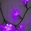 image:imageNearly Natural 65ft PreLit Halloween Black Twig Garland with 48 Purple LED Lights